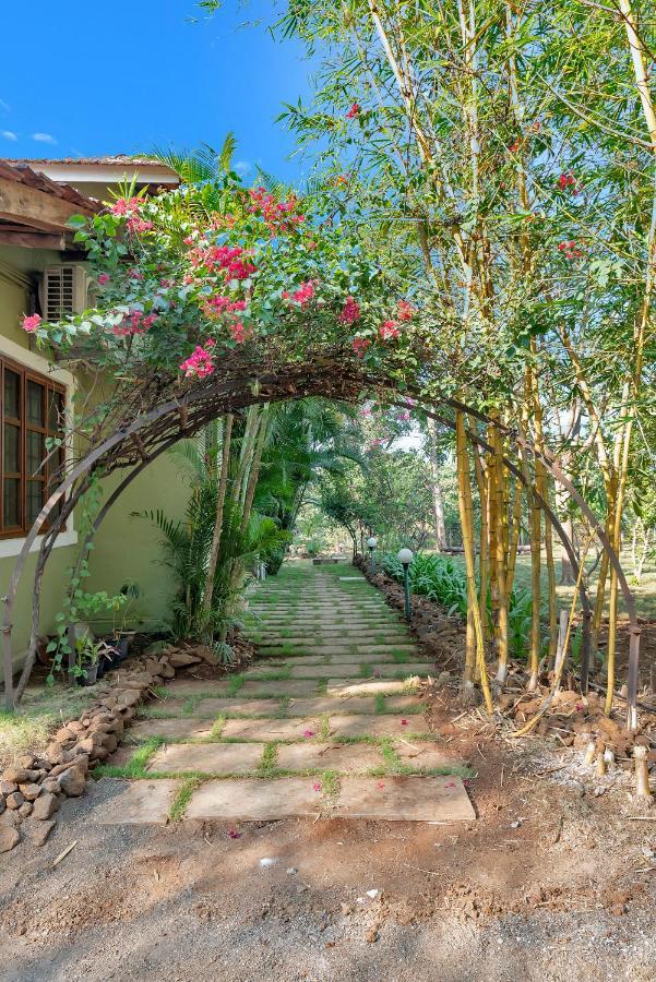 Saffronstays Laburnum House, Wada - Palghar المظهر الخارجي الصورة